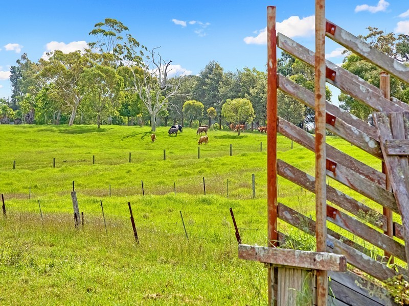 904 Dog Trap Road, Somersby NSW 2250