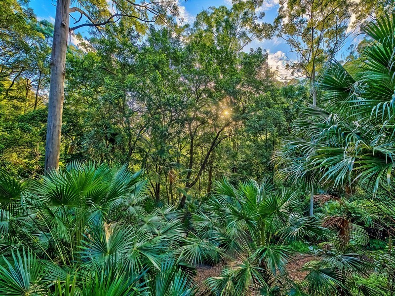 400 Oak Road, Matcham NSW 2250