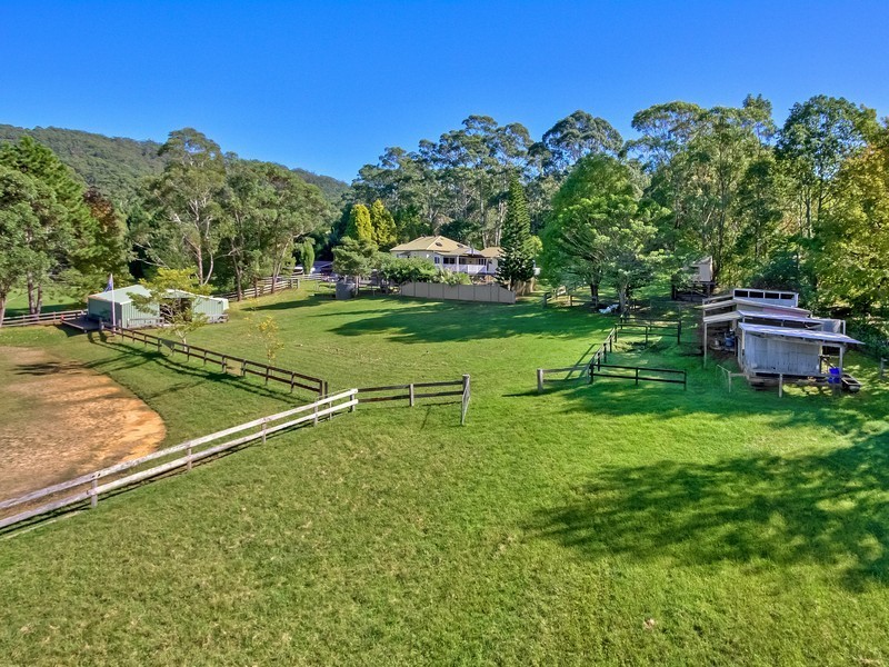 244 Wattle Tree Road, Holgate NSW 2250