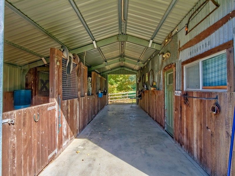 244 Wattle Tree Road, Holgate NSW 2250