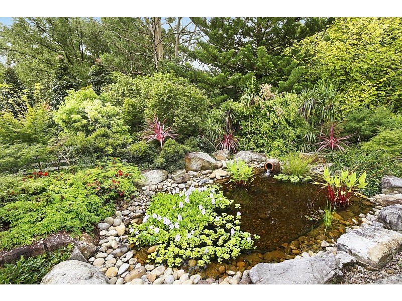 347 Wattle Tree Road, Holgate NSW 2250