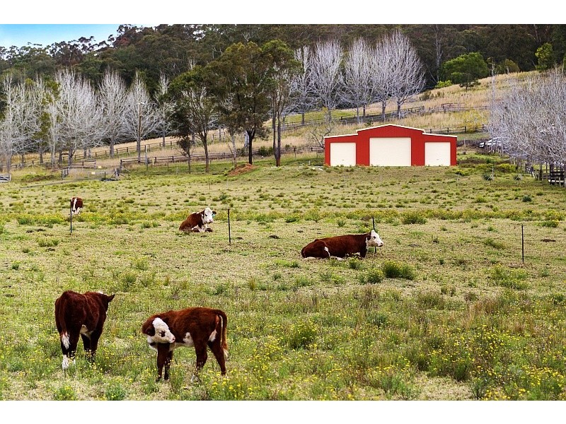 582 Yarramalong Road, Wyong Creek NSW 2259