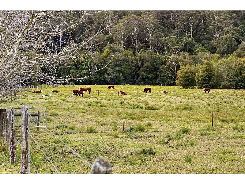 582 Yarramalong Road, Wyong Creek NSW 2259