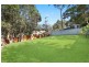 49 Digby Road, Springfield NSW 2250