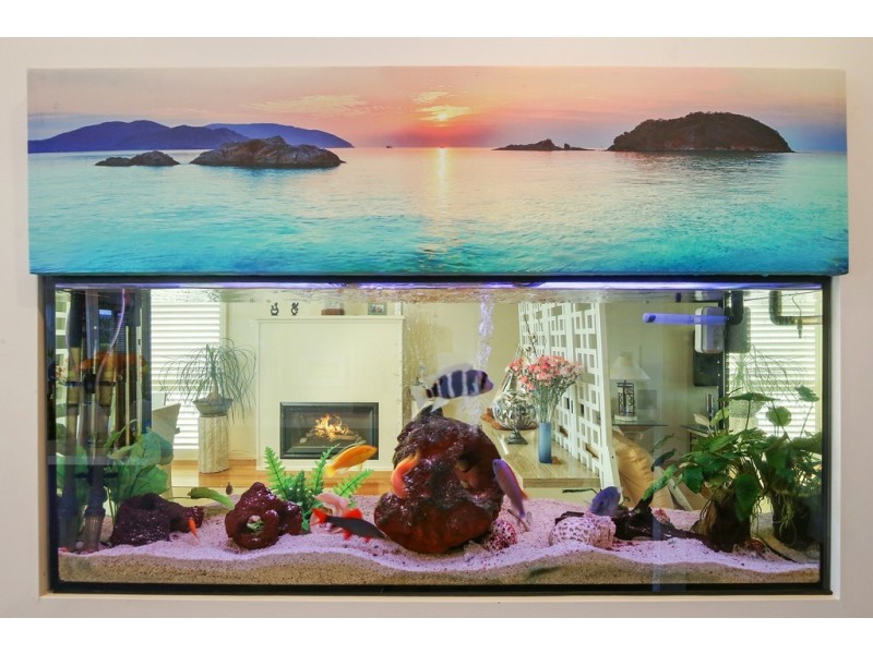 3 Harrison Street, Point Frederick NSW 2250