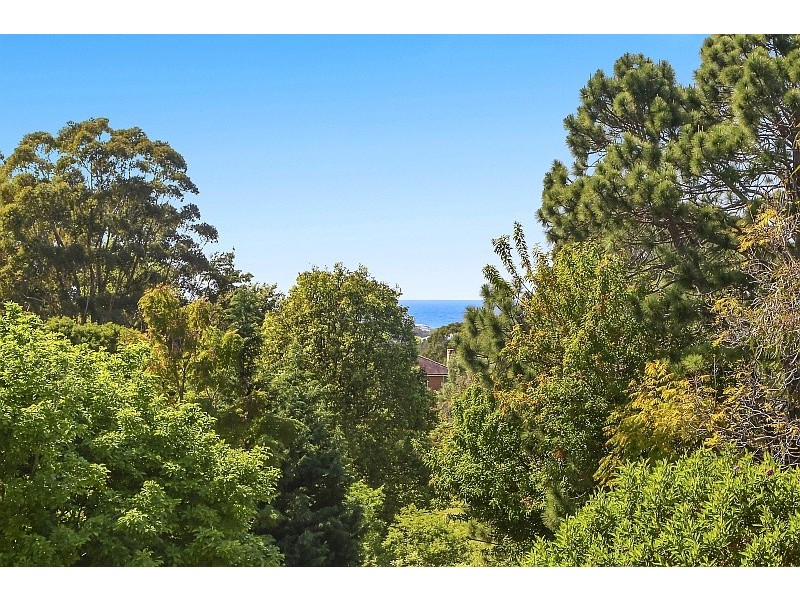 342 Scenic Highway, Terrigal NSW 2260