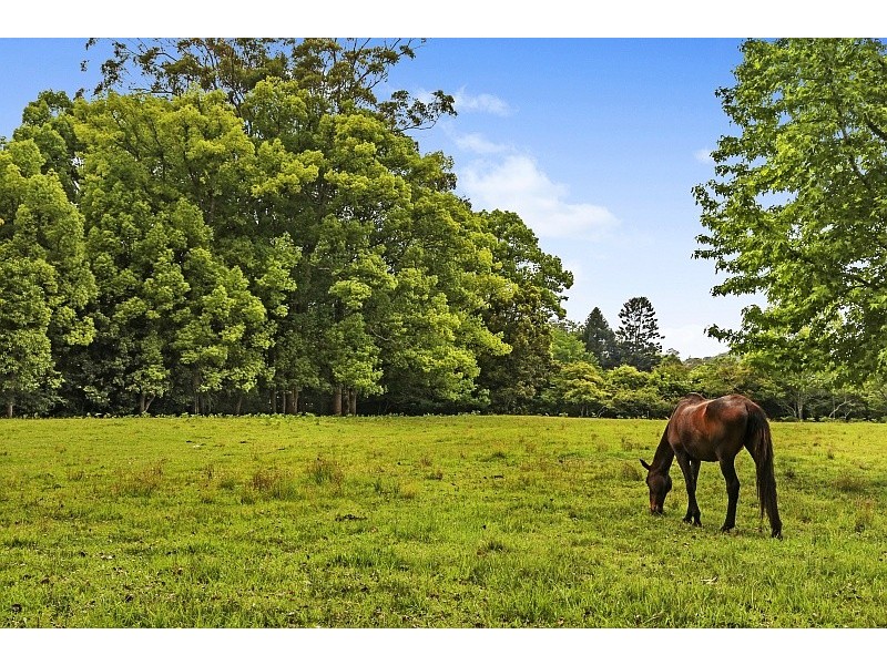 3 Bristowe Close, Ourimbah NSW 2258