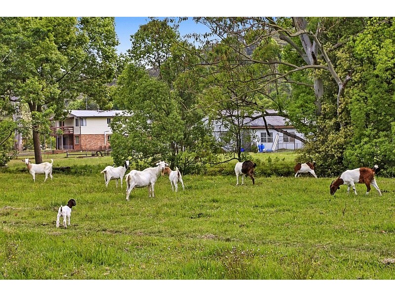 3 Bristowe Close, Ourimbah NSW 2258