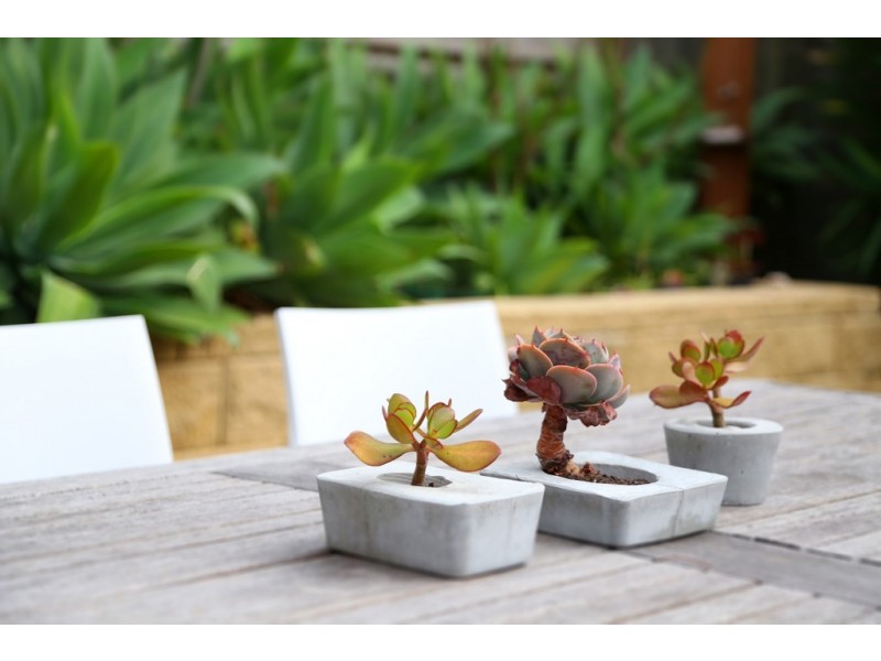 4 Carrol Avenue, East Gosford NSW 2250