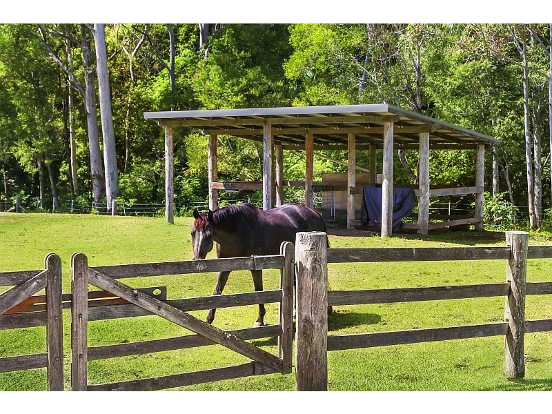 216 Wattle Tree Road, Holgate NSW 2250