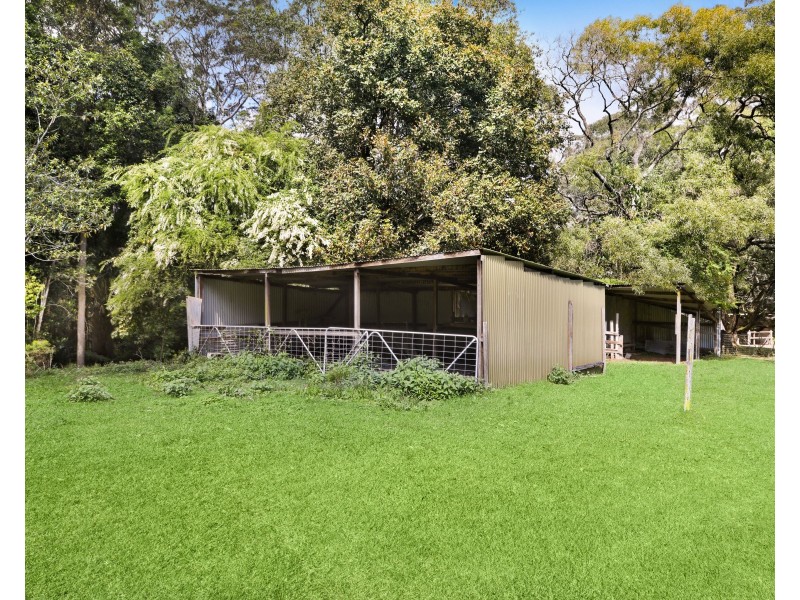 323 Wattle Tree Road, Holgate NSW 2250