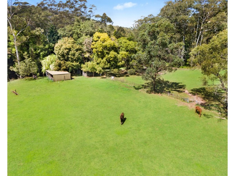 323 Wattle Tree Road, Holgate NSW 2250