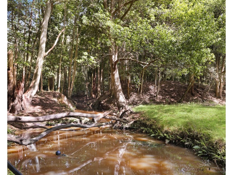 323 Wattle Tree Road, Holgate NSW 2250