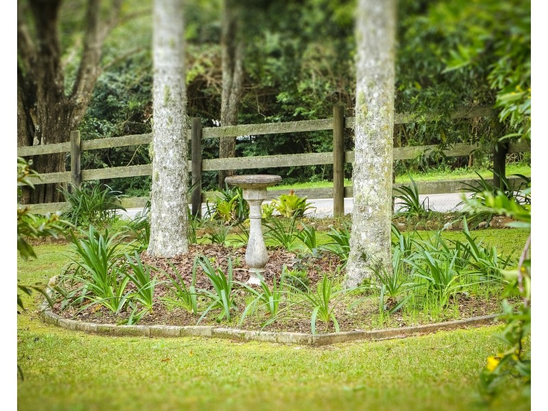 242 Wattle Tree Rd, Holgate NSW 2250