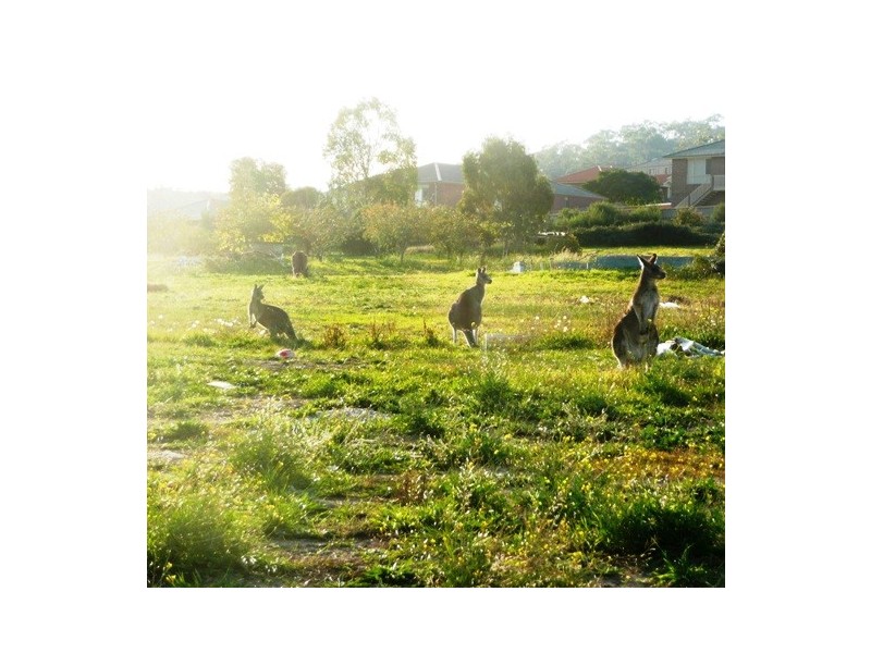 Lot 1820 Cabarita, South Morang VIC 3752