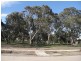 226  Zieria, South Morang VIC 3752