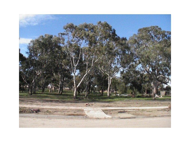 226  Zieria, South Morang VIC 3752