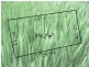 Lot 1112 Donnely Circuit, South Morang VIC 3752