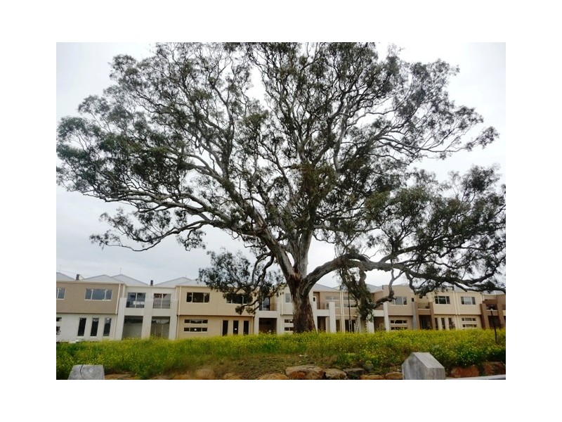 South Morang VIC 3752