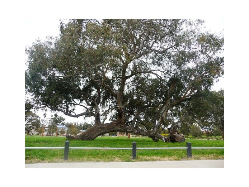 South Morang VIC 3752