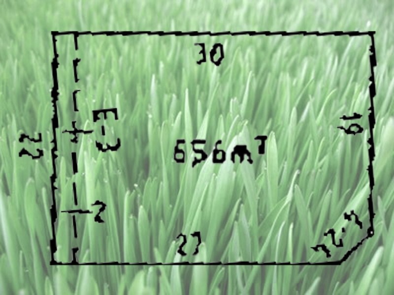 1 Coleraine Street, Epping VIC 3076