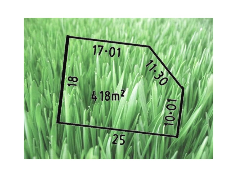 Lot 3 Triandra Drive, South Morang VIC 3752