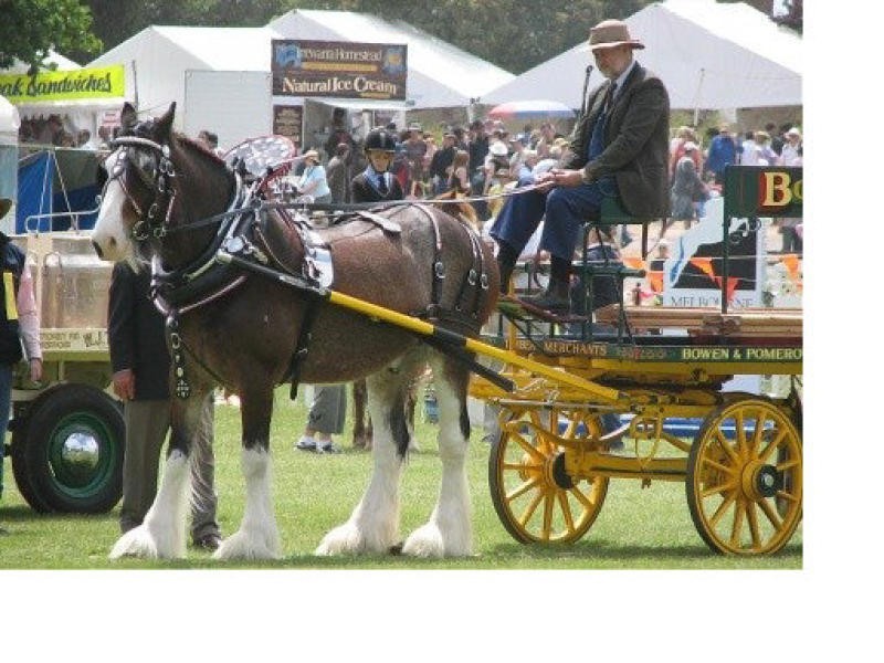 LOT 202 KING PARROT WAY, Whittlesea VIC 3757