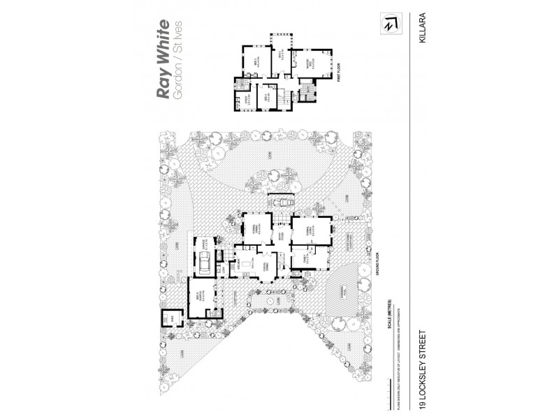 19 Locksley Street, Killara NSW 2071 Floorplan