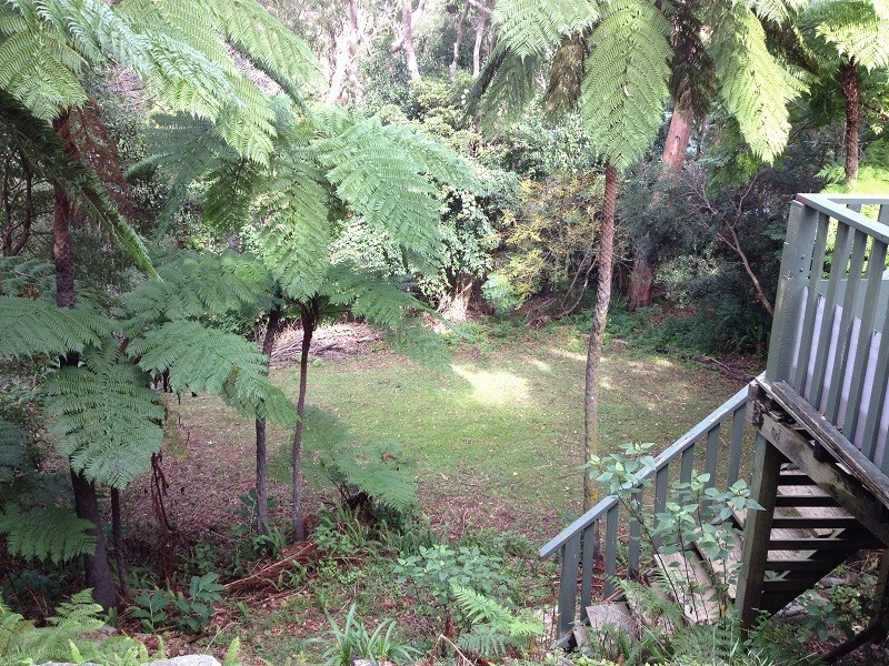 214 Killeaton St, St Ives NSW 2075