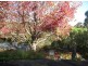 Pymble NSW 2073