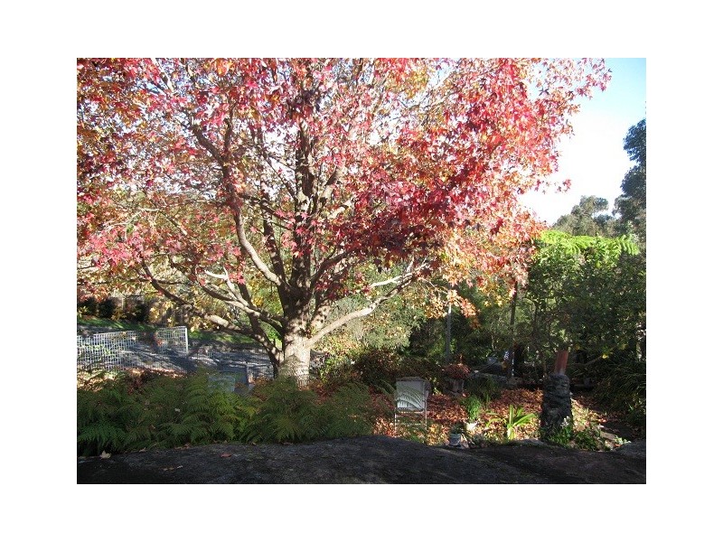 Pymble NSW 2073
