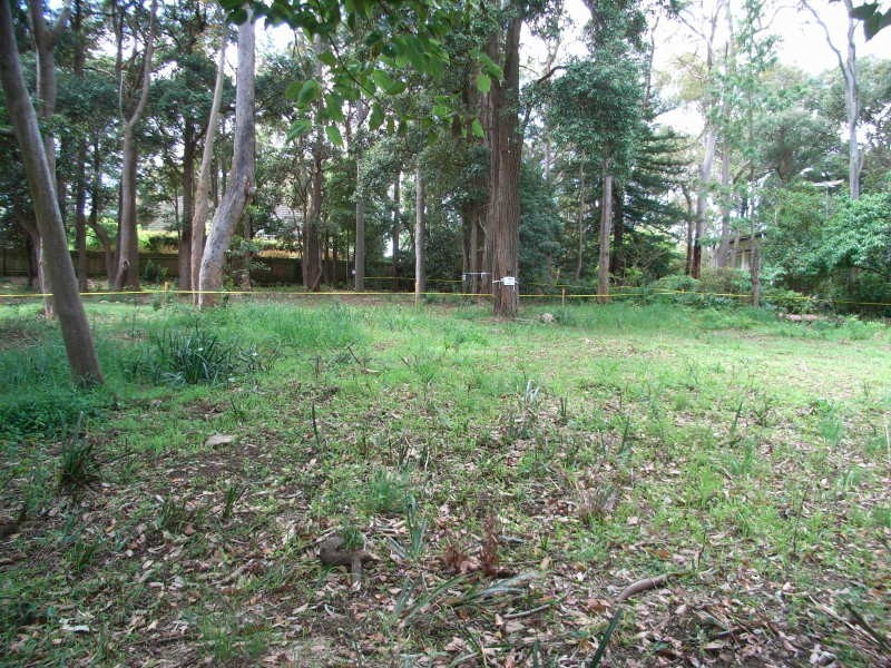 3 Warrabri Place, West Pymble NSW 2073