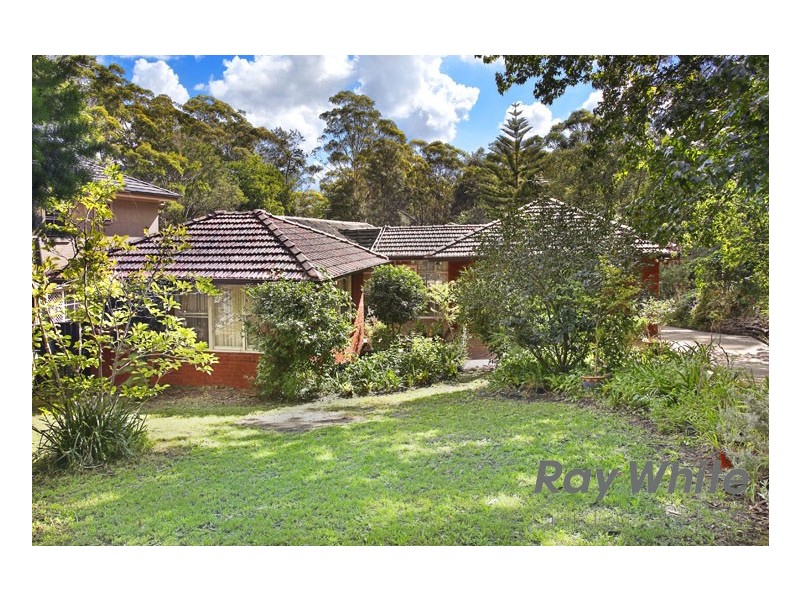 53 Roland Avenue, Wahroonga NSW 2076