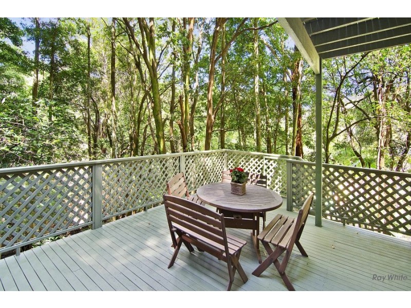 81 Campbell Drive, Wahroonga NSW 2076