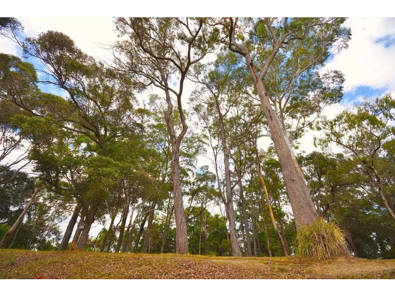 1/27 College Crescent, St Ives NSW 2075