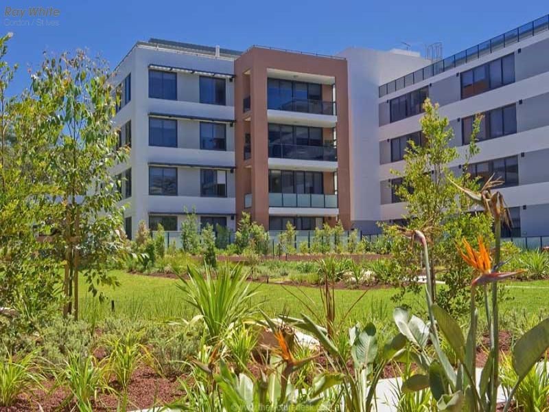 557/ 17-19 Memorial Ave, St Ives NSW 2075