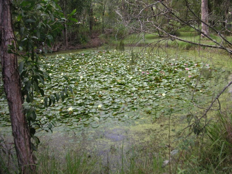 Crestmead QLD 4132