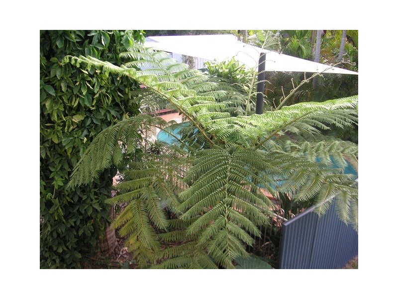 23 Woodburn St, Marsden QLD 4132