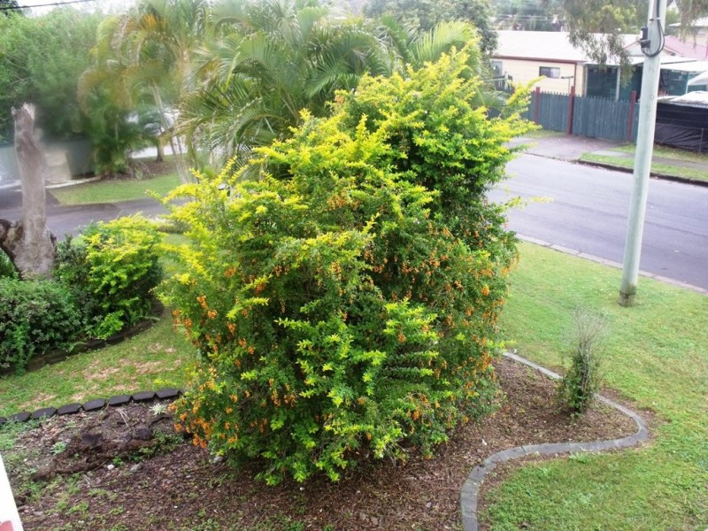 25 Limerick Dr, Crestmead QLD 4132