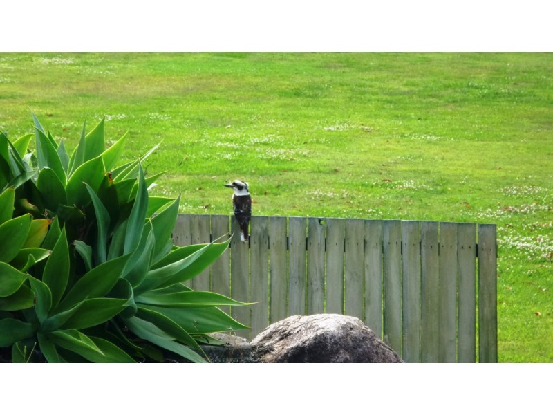 13 Cougal Close, Loganholme QLD 4129