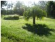 319 Park Ridge Road, Park Ridge QLD 4125