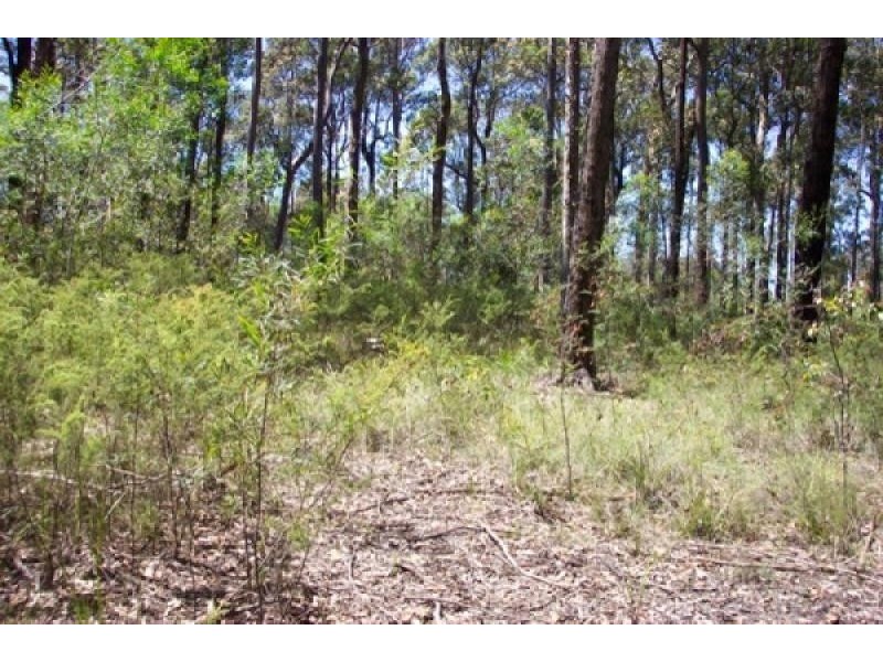 Lot 1 Misons Road., Bimbimbie NSW 2536