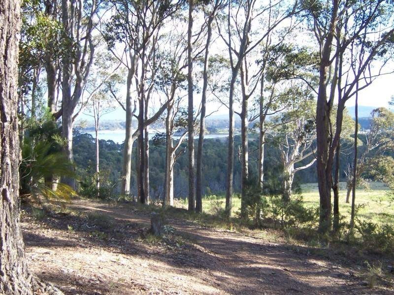 21 Roseby Drive, Rosedale NSW 2536