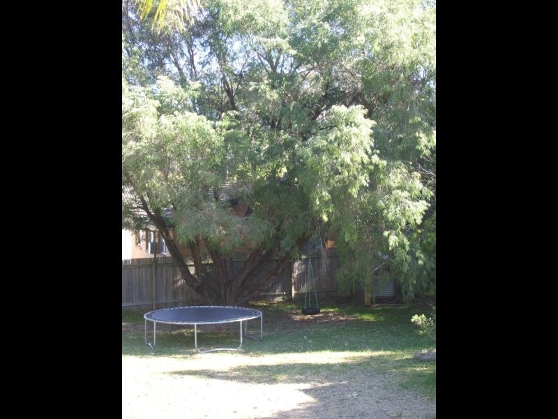 63 Smith Street, Broulee NSW 2537