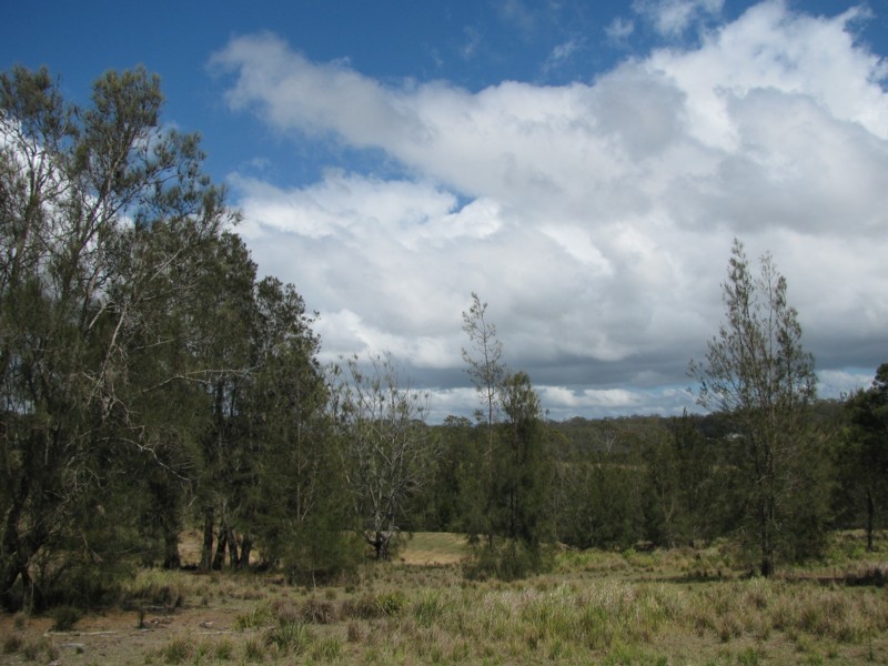 49 Arinya Place, Bingie NSW 2537