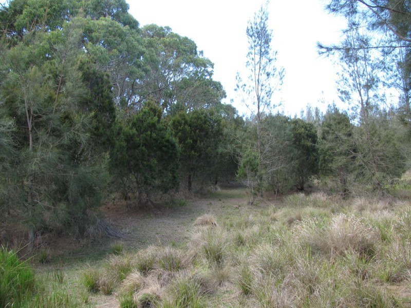 49 Arinya Place, Bingie NSW 2537