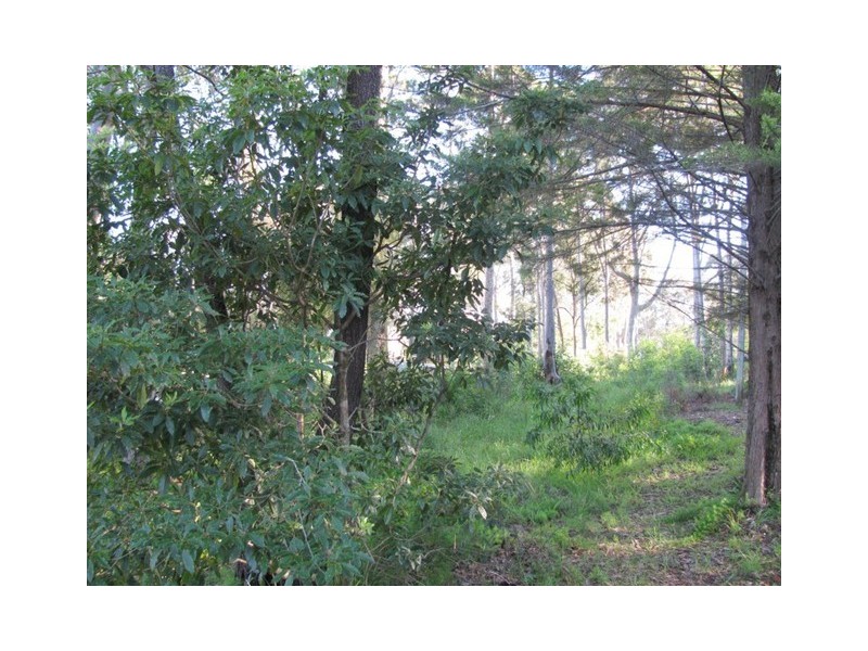 32 Annetts Parade, Mossy Point NSW 2537