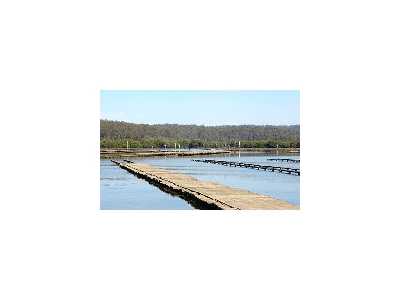 Shed 139 Lattas Point Road, Batemans Bay NSW 2536