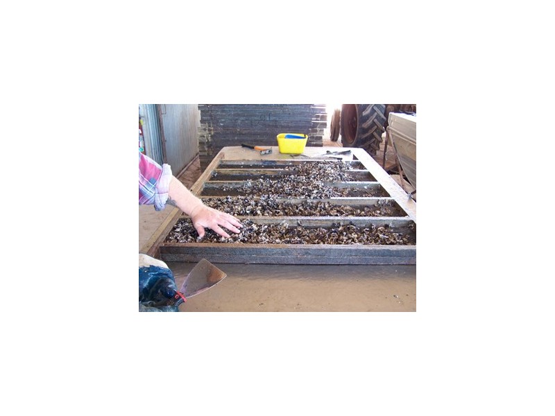 Shed 139 Lattas Point Road, Batemans Bay NSW 2536