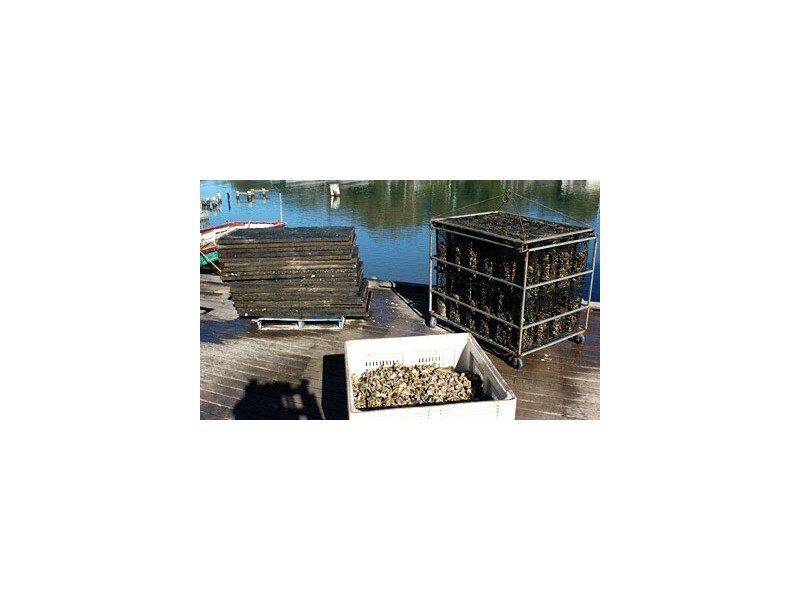 Shed 139 Lattas Point Road, Batemans Bay NSW 2536